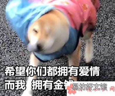 双十一双节棍什么梗 网络词汇双节棍什么意思