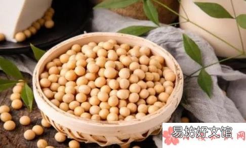 食用大豆的大豆的营养价值作用是什么 中国为什么需要进口大量大豆