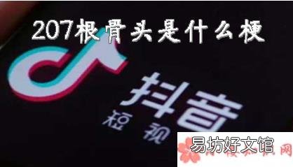 207根骨头梗的出处是什么 207根骨头是什么意思