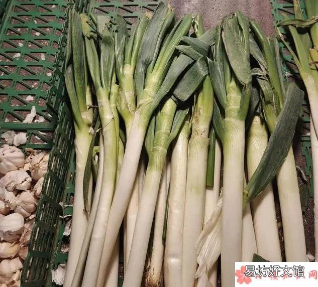 什么时候能吃到便宜大葱 大葱价格为什么连连上涨
