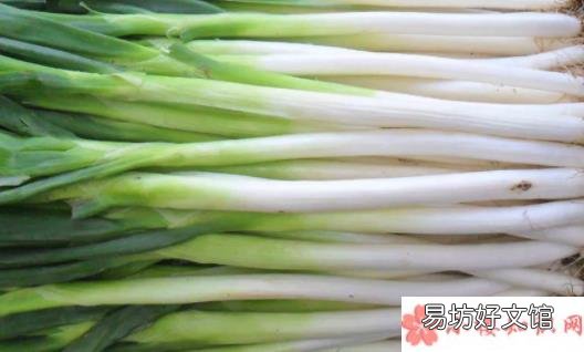 大葱还会继续涨价吗 大葱价格上涨的原因是什么