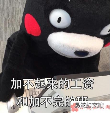 年底了对感情做个总结的心情说说 马上年底了关于我的感情做个总结什么梗