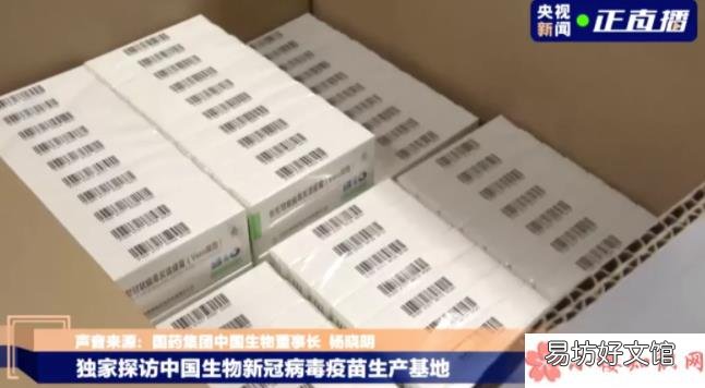 疫苗电子身份证在哪看 新冠疫苗电子身份证有什么用