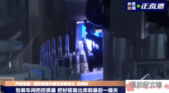 疫苗电子身份证在哪看 新冠疫苗电子身份证有什么用