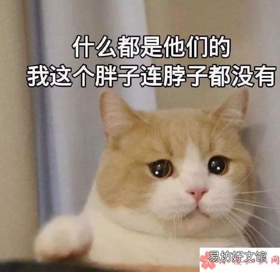 句句扎心的文案说说大全 让人扎心的一句话简短句子