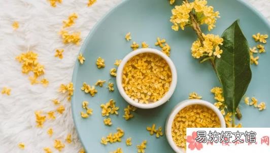 蚂蚁庄园2月21日答案 何须浅碧深红色自是花中第一流是什么花