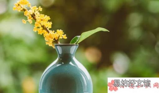 蚂蚁庄园2月21日答案 何须浅碧深红色自是花中第一流是什么花