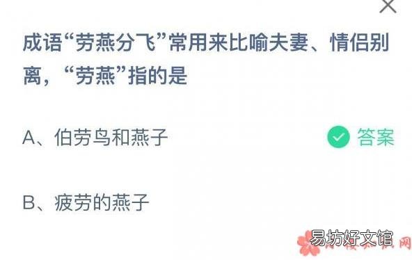 蚂蚁庄园5月10日答案 成语劳燕分飞中劳燕指的是什么
