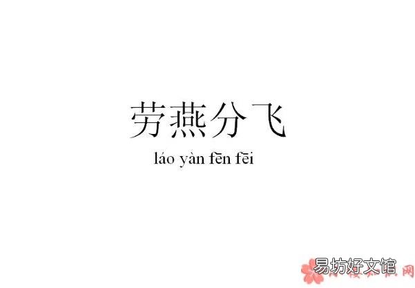 蚂蚁庄园5月10日答案 成语劳燕分飞中劳燕指的是什么