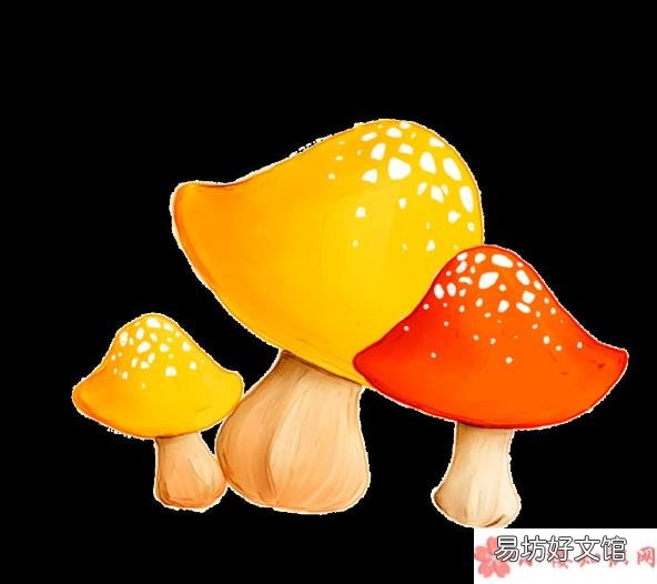 食用毒蘑菇后怎么自我急救 怎样鉴别野生的蘑菇是否有毒