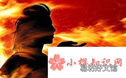桂皮的忌食人群