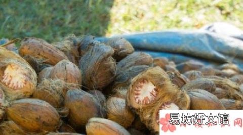 为什么有人喜欢吃槟榔 长期嚼槟榔有哪些危害