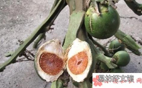 为什么有人喜欢吃槟榔 长期嚼槟榔有哪些危害