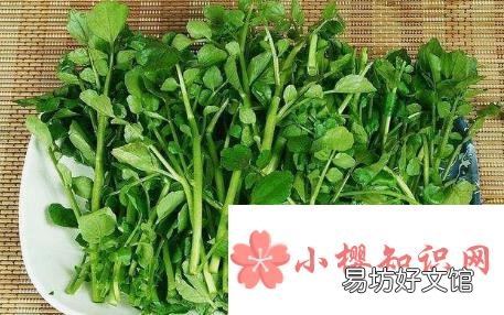 去除口臭的12个偏方
