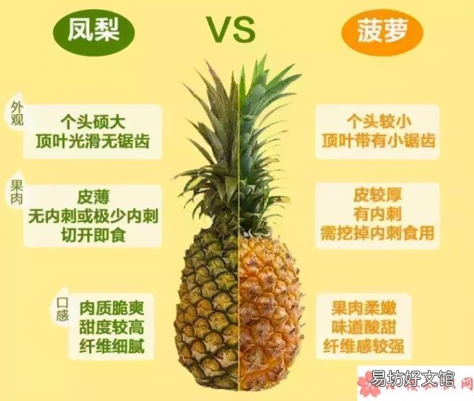 9月8日答案解析 蚂蚁庄园菠萝和凤梨是同一种水果吗