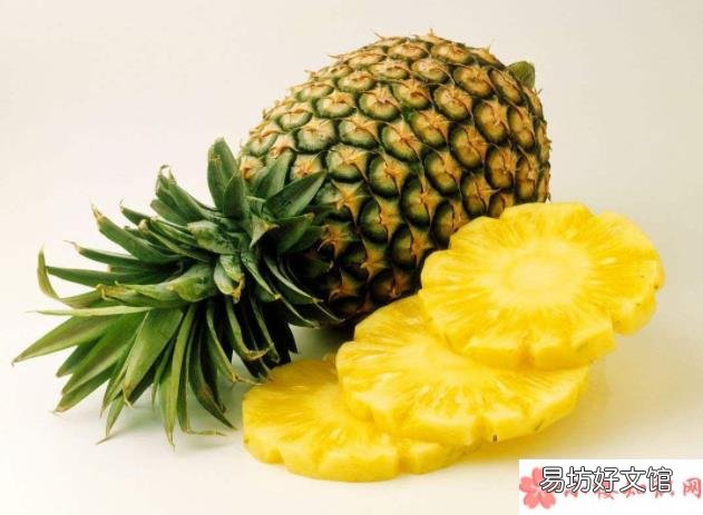 9月8日答案解析 蚂蚁庄园菠萝和凤梨是同一种水果吗