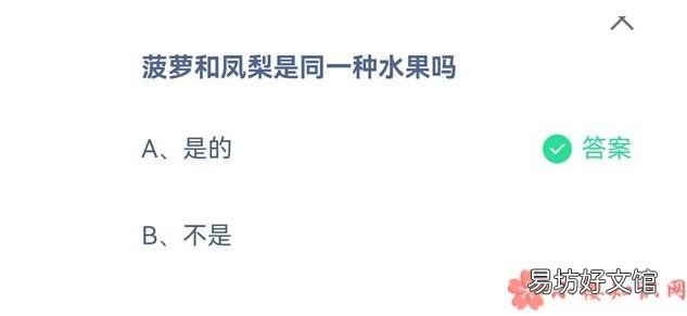 9月8日答案解析 蚂蚁庄园菠萝和凤梨是同一种水果吗