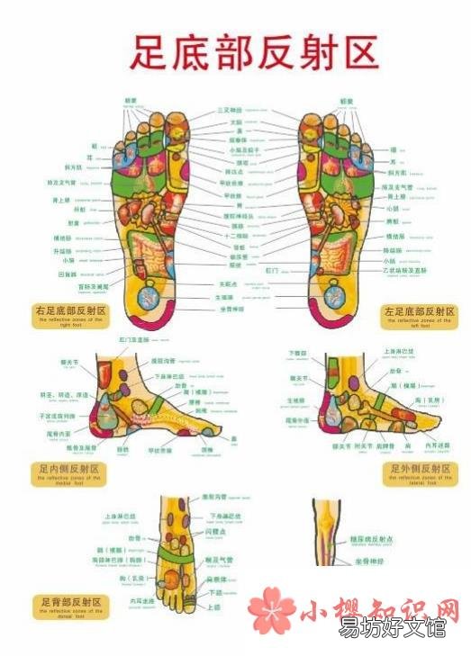 如何健康腳底按摩