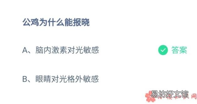 蚂蚁庄园10月9日答案解析 公鸡为什么能报晓