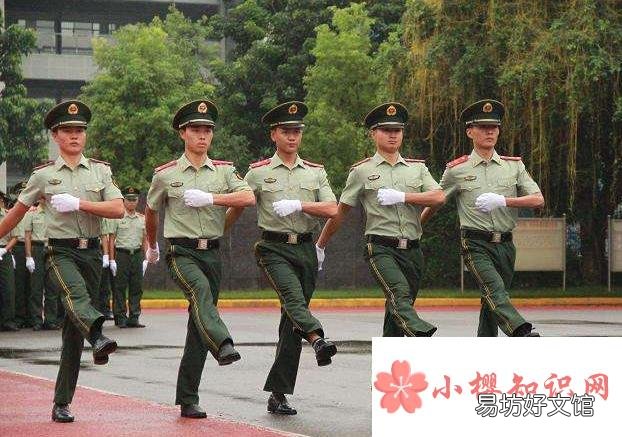 正步走的动作要领图解