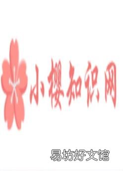 旅行箱的密码如何重置?