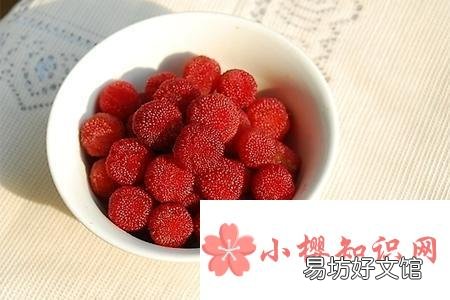 吃杨梅要不要洗,怎么吃才健康