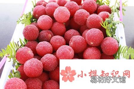 吃杨梅要不要洗,怎么吃才健康