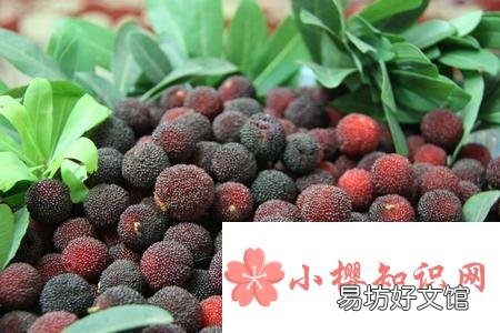 吃杨梅要不要洗,怎么吃才健康