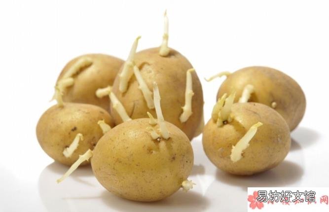 蚂蚁庄园10月30日正确答案 长芽变绿的土豆可以吃吗
