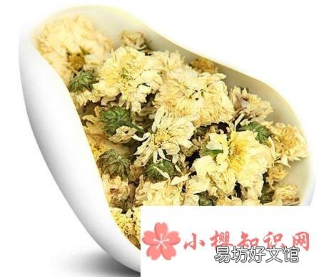 贡菊泡水喝的功效