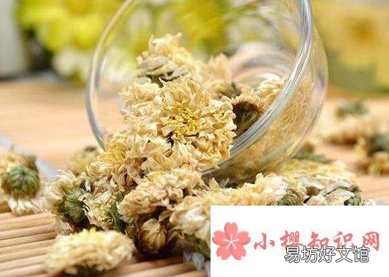贡菊泡水喝的功效