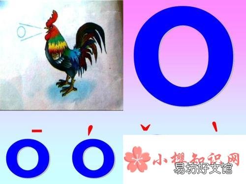 单韵母有哪些?