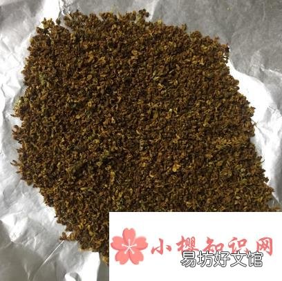 桂花怎么晒不会黑