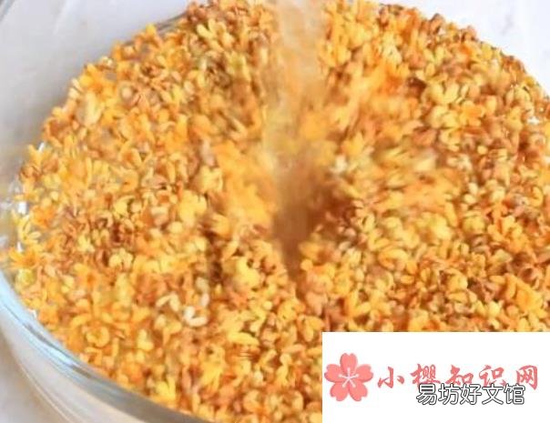 桂花怎么晒不会黑