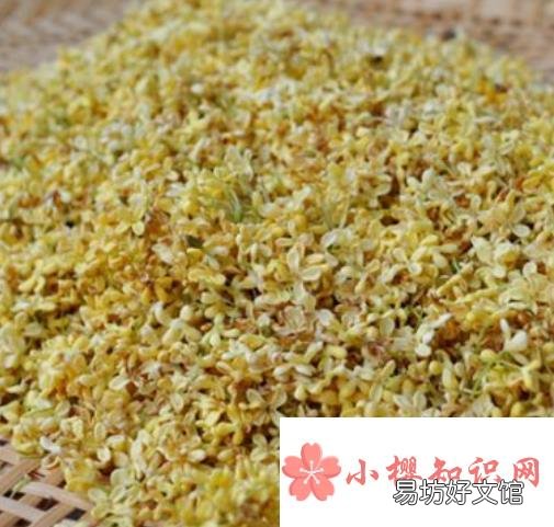 桂花怎么晒不会黑