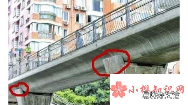 桥梁从下到上各部位名称及组图