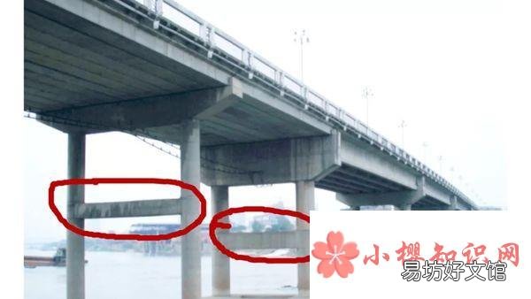 桥梁从下到上各部位名称及组图