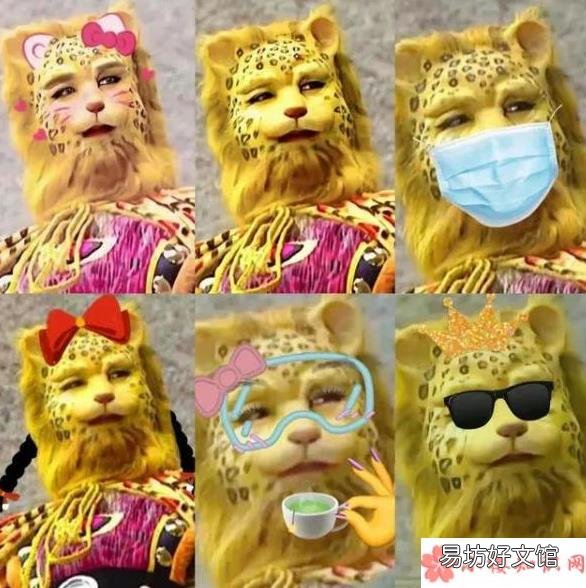 金钱豹头像为什么火了 抖音金钱豹梗是什么意思
