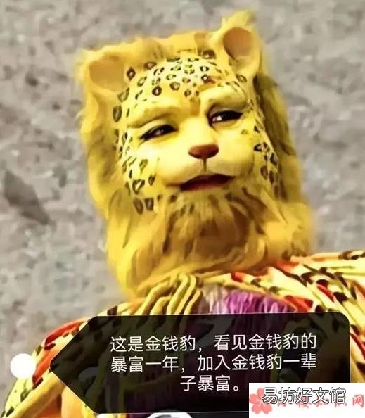 金钱豹头像为什么火了 抖音金钱豹梗是什么意思