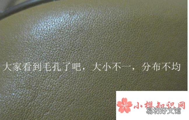 怎么辨别是真皮还是PU皮的?