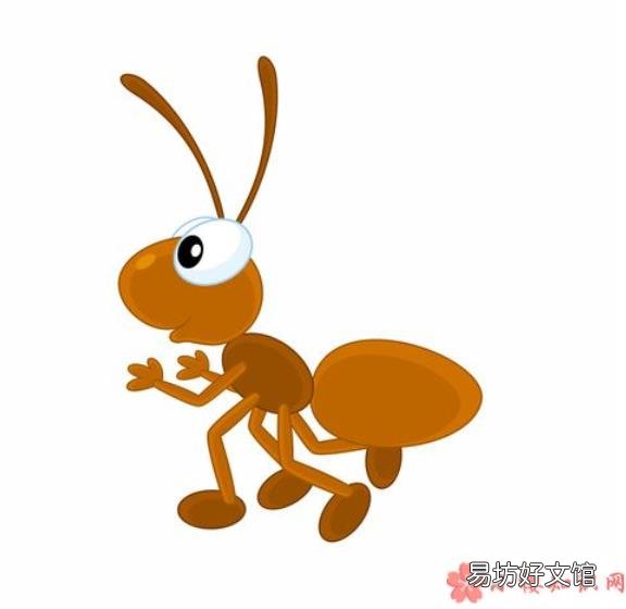 蚂蚁是如何过冬的 蚂蚁在冬季消失是因为需要冬眠吗