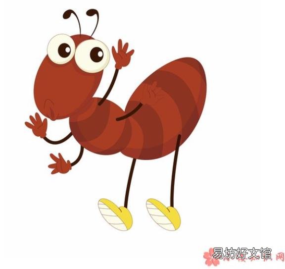 蚂蚁是如何过冬的 蚂蚁在冬季消失是因为需要冬眠吗