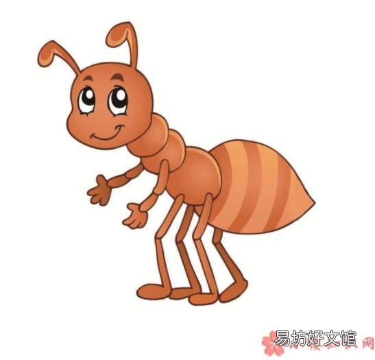 蚂蚁是如何过冬的 蚂蚁在冬季消失是因为需要冬眠吗