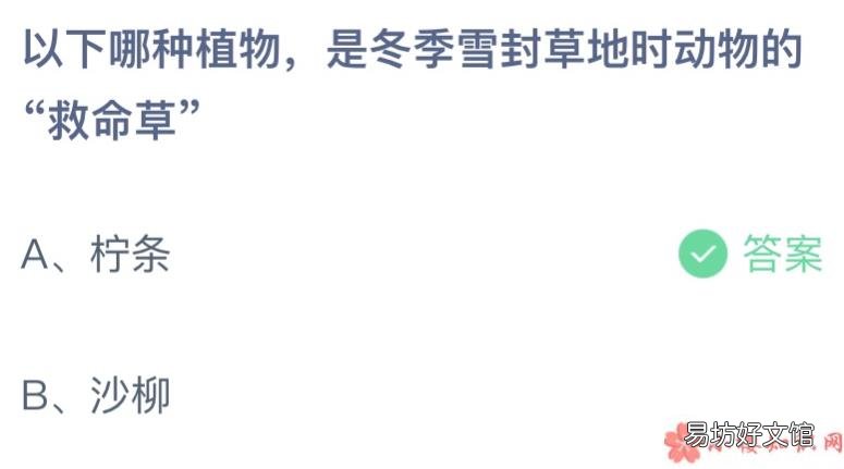 蚂蚁庄园3月12日答案最新 以下哪种植物是冬季封草地时动物的救命草