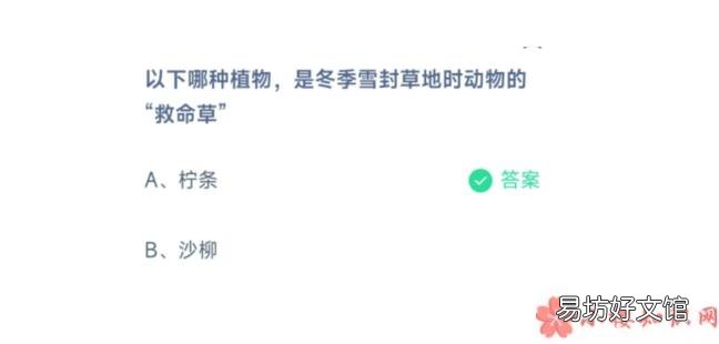蚂蚁庄园3月12日正确答案 哪种植物是冬季雪封草地时动物的救命草