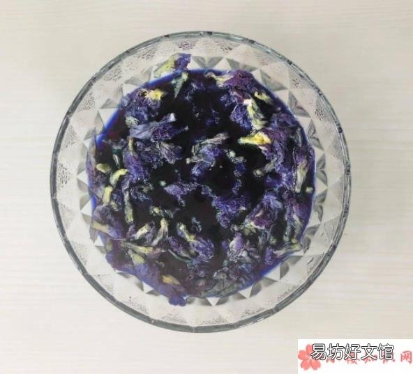 蝶豆花能食用吗 蝶豆花水加什么会变色