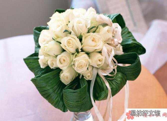蚂蚁庄园3月29日正确答案:在花瓶中加入什么可以延长鲜花的花期