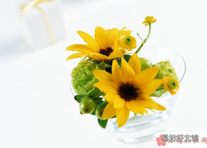 蚂蚁庄园3月29日正确答案:在花瓶中加入什么可以延长鲜花的花期