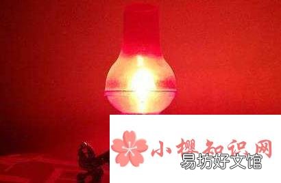 10个小妙招教你赶走烦人的蚊子