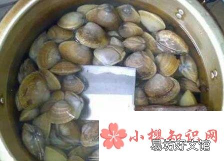 如何让蛤蜊快速吐沙